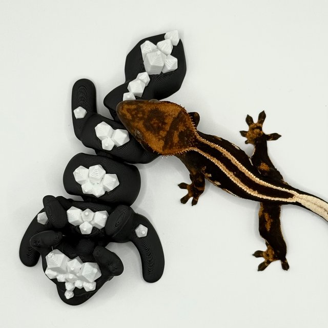 슈퍼스트라이프 엠티백