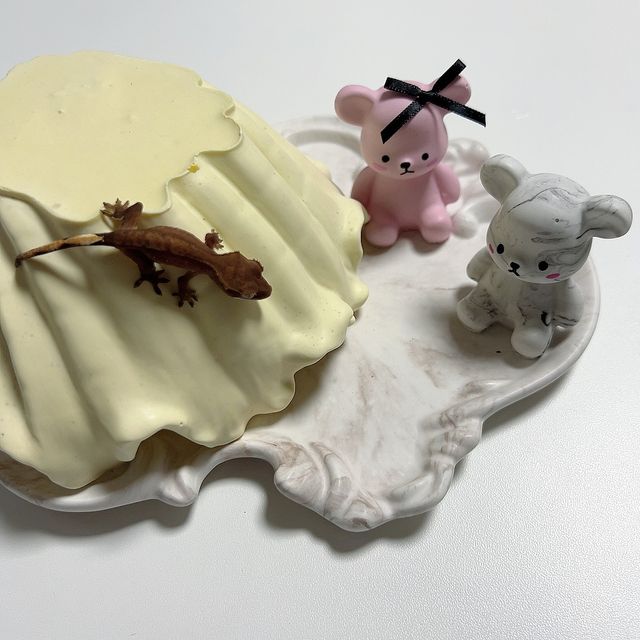패턴리스 벅스킨 레드 다크