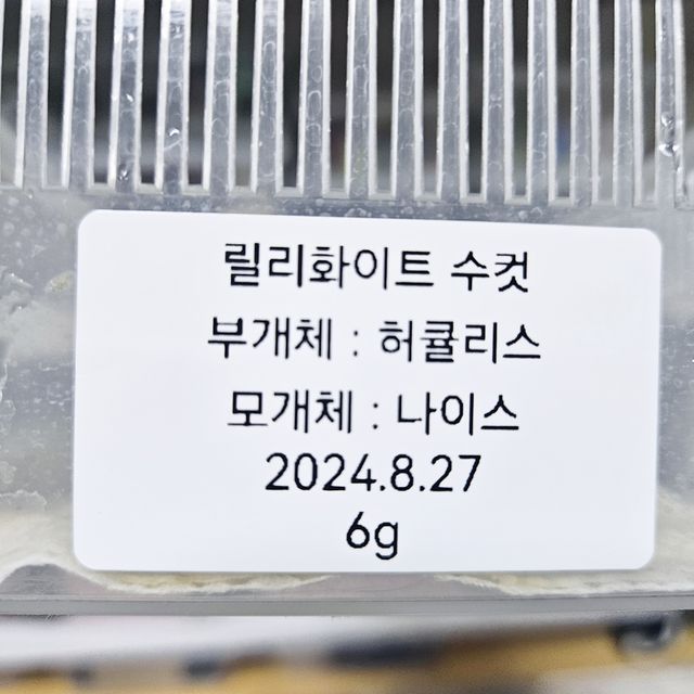 릴리화이트
