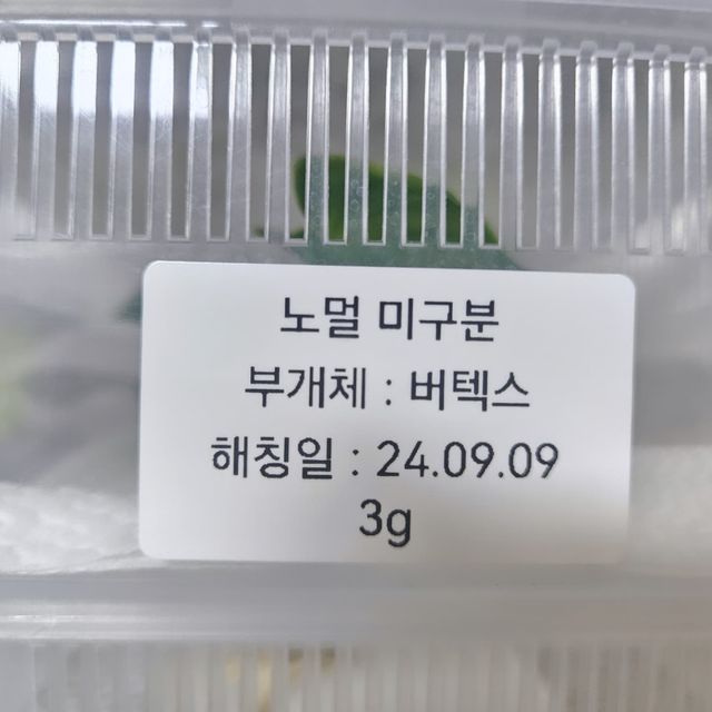 노멀