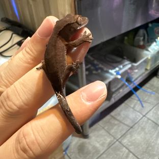 다크 팬텀 카푸치노