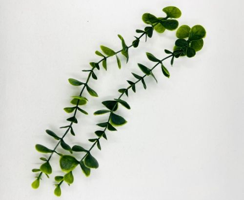 두렙 유칼립투스(나뭇잎) 구조물 큐방 포함