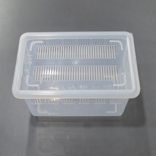 JIF 적재형 사육장 중형 투명