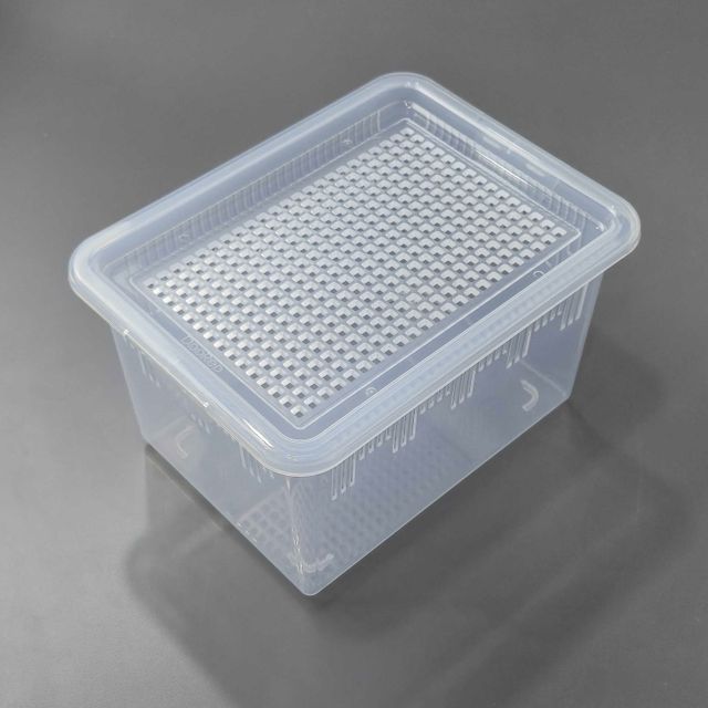 두렙 캐슬 적재 중형 투명