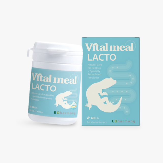 바이탈밀 락토 유산균