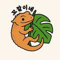 꼬깔이네