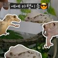 예예마뱀이들
