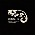 BNDcre