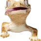 토모