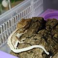 왜이쁘고크레요