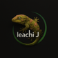 LeachiJ