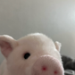 때징