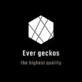 에버게코