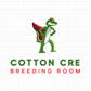 코튼크레