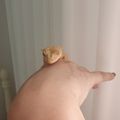 믿어요브리더