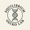 EquilibriumGeckoLab