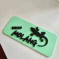 MOLANGGECKO