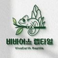 비바어스렙타일