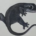 AXcre19