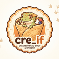 Creif