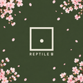 렙타일뜰