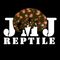 JMJREPTILE