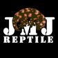 JMJREPTILE