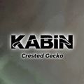 KABIN카빈
