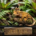 크레전드