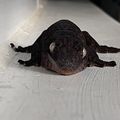 멀거니