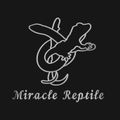 MiracleReptile