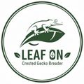 LeafOn