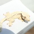 티피오크레
