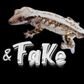Fakegecko