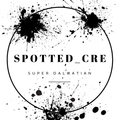 spottedcre