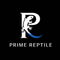 프라임렙타일
