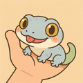 SONSUGECKO