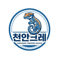 천안크레