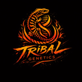 TribalGenetics