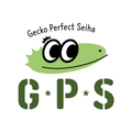 GPS