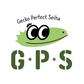 GPS
