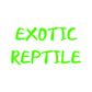 엑조틱렙타일