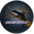 ShadowReptile