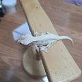 크슈크슈