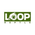 LOOP