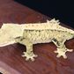 웨코westgecko