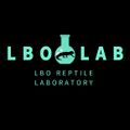LBO