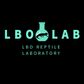 LBO