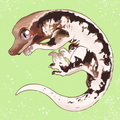 Dragonius