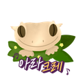 아라크레